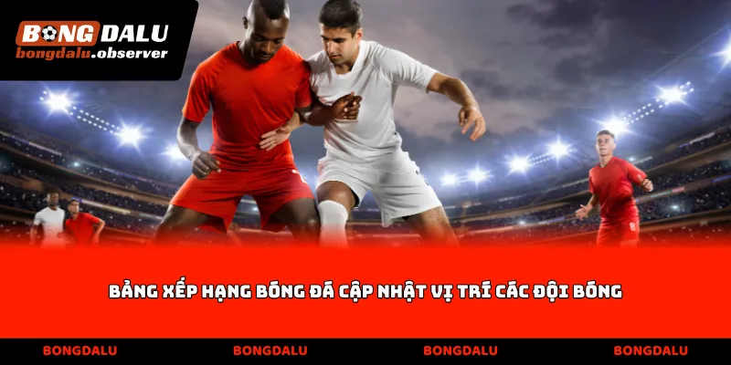 Bảng xếp hạng bóng đá cập nhật vị trí các đội bóng