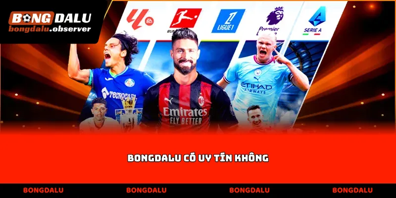 Bongdalu có uy tín không