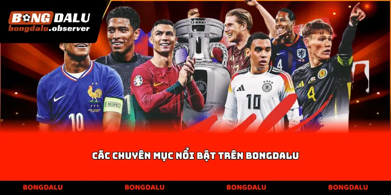 Các chuyên mục nổi bật trên Bongdalu