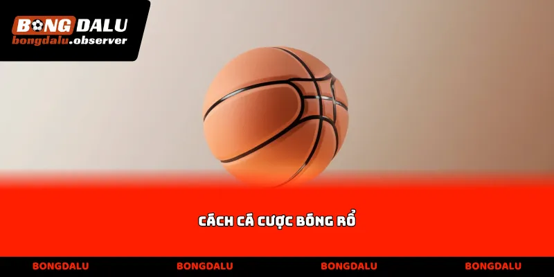 Cách cá cược bóng rổ
