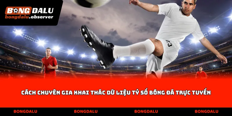 Cách chuyên gia khai thác dữ liệu tỷ số bóng đá trực tuyến