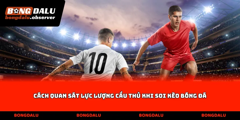 Cách quan sát lực lượng cầu thủ khi soi kèo bóng đá