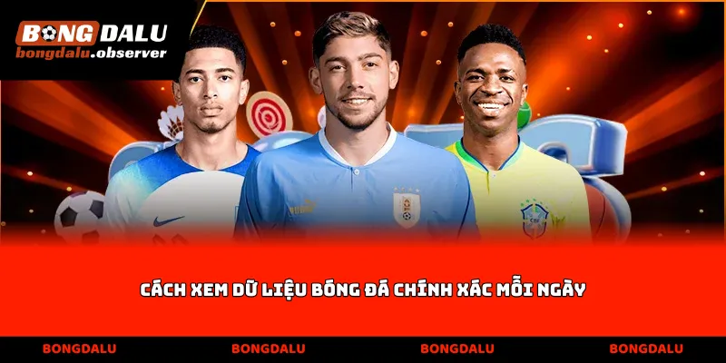 Cách xem dữ liệu bóng đá chính xác mỗi ngày