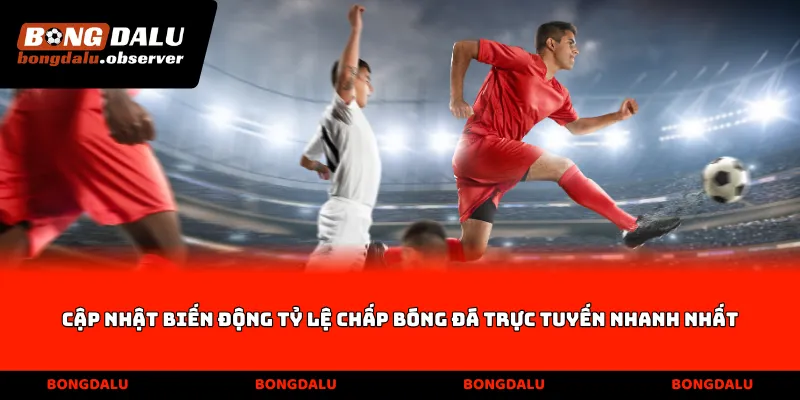 Cập nhật biến động tỷ lệ chấp bóng đá trực tuyến nhanh nhất