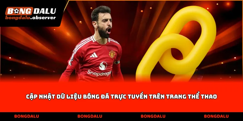 Cập nhật dữ liệu bóng đá trực tuyến trên trang thể thao
