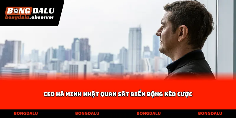 CEO Hà Minh Nhật quan sát biến động kèo cược