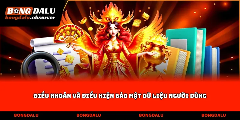 Điều khoản và điều kiện bảo mật dữ liệu người dùng