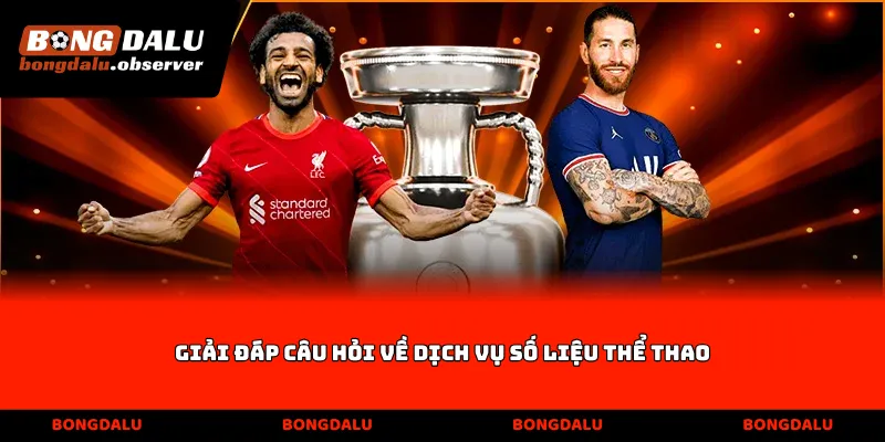 Giải đáp câu hỏi về dịch vụ số liệu thể thao