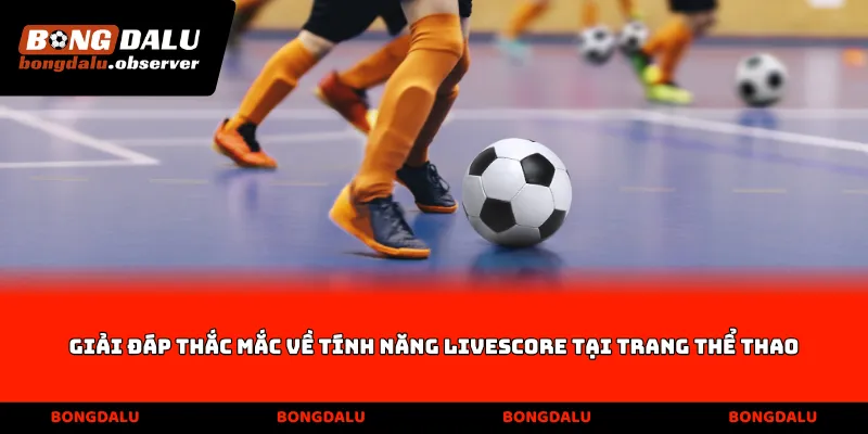 Giải đáp thắc mắc về tính năng Livescore tại trang thể thao