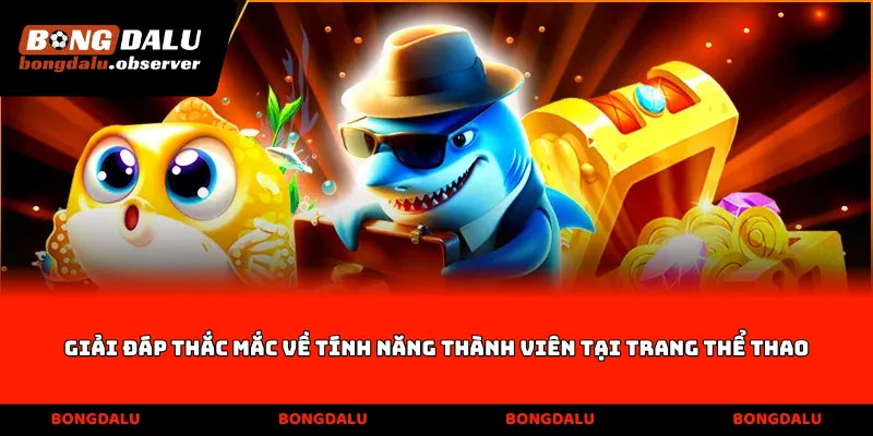 Giải đáp thắc mắc về tính năng thành viên tại trang thể thao