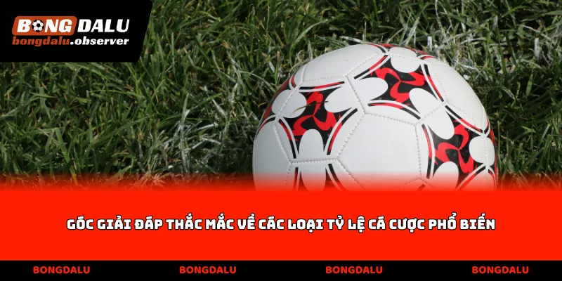 Góc giải đáp thắc mắc về các loại tỷ lệ cá cược phổ biến