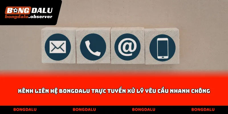Kênh liên hệ Bongdalu trực tuyến xử lý yêu cầu nhanh chóng