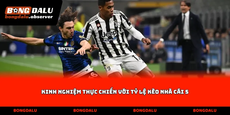 Kinh nghiệm thực chiến với tỷ lệ kèo nhà cái 5