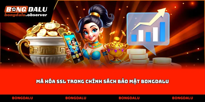 Mã hóa SSL trong chính sách bảo mật Bongdalu