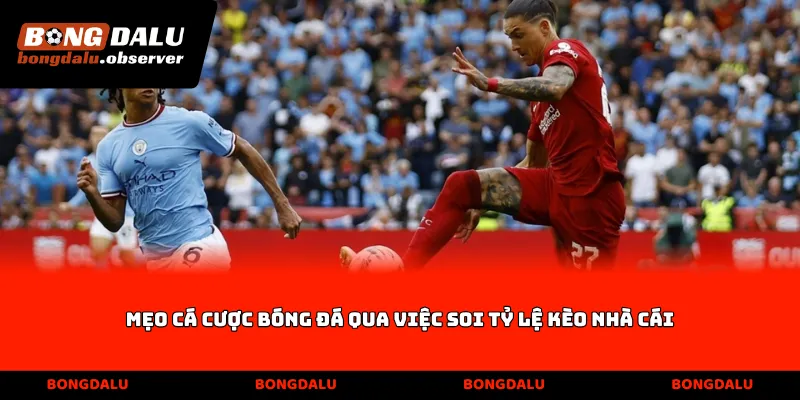 Mẹo cá cược bóng đá qua việc soi tỷ lệ kèo nhà cái