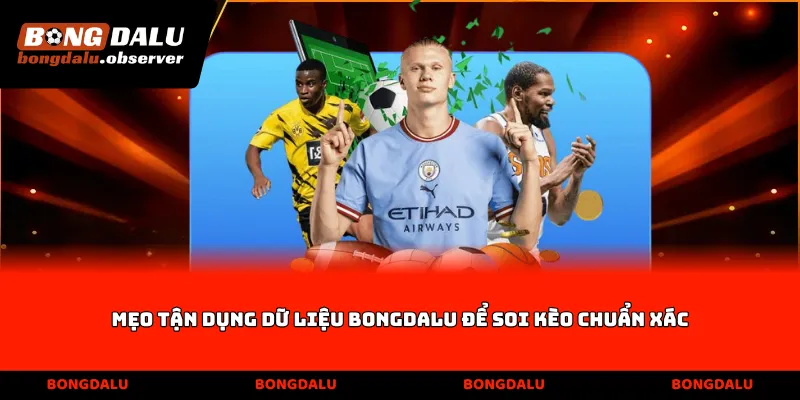 Mẹo tận dụng dữ liệu Bongdalu để soi kèo chuẩn xác