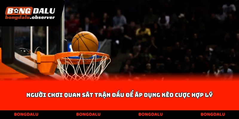 Người chơi quan sát trận đấu để áp dụng kèo cược hợp lý