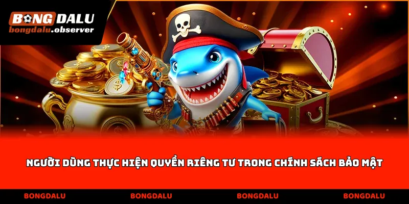 Người dùng thực hiện quyền riêng tư trong chính sách bảo mật