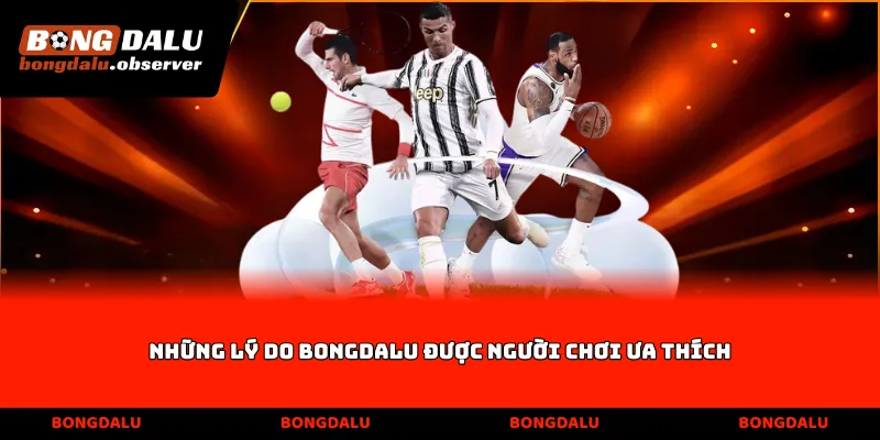 Những lý do Bongdalu được người chơi ưa thích