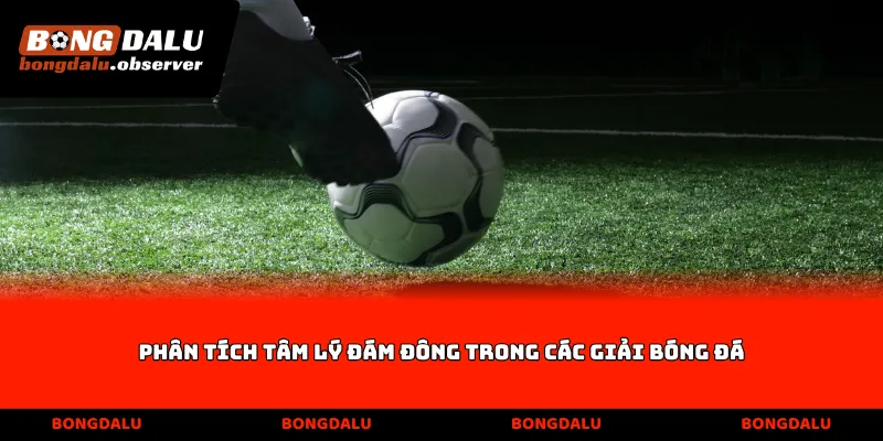 Phân tích tâm lý đám đông trong các giải bóng đá