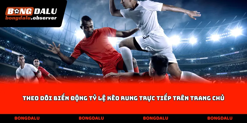 Theo dõi biến động tỷ lệ Kèo rung trực tiếp trên trang chủ