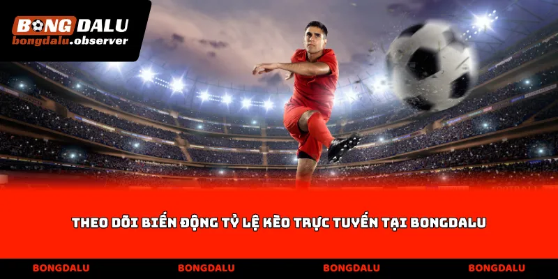 Theo dõi biến động tỷ lệ kèo trực tuyến tại Bongdalu