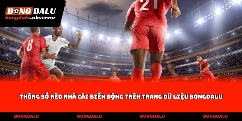 Thông số Kèo nhà cái biến động trên trang dữ liệu Bongdalu