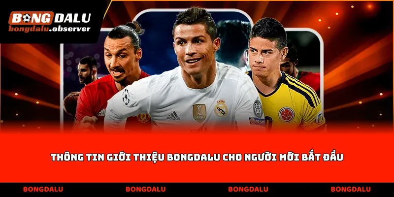 Thông tin giới thiệu Bongdalu cho người mới bắt đầu